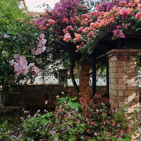 Veneto'S Garden Lägenhet Kardhamili Exteriör bild