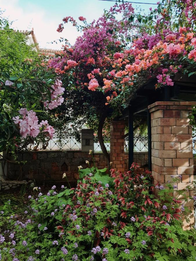 Veneto'S Garden Lägenhet Kardhamili Exteriör bild